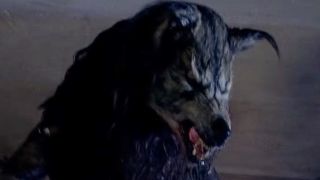 A werewolf in Dog Soldiers