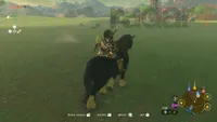 How to get your Zelda Tears of the Kingdom horse