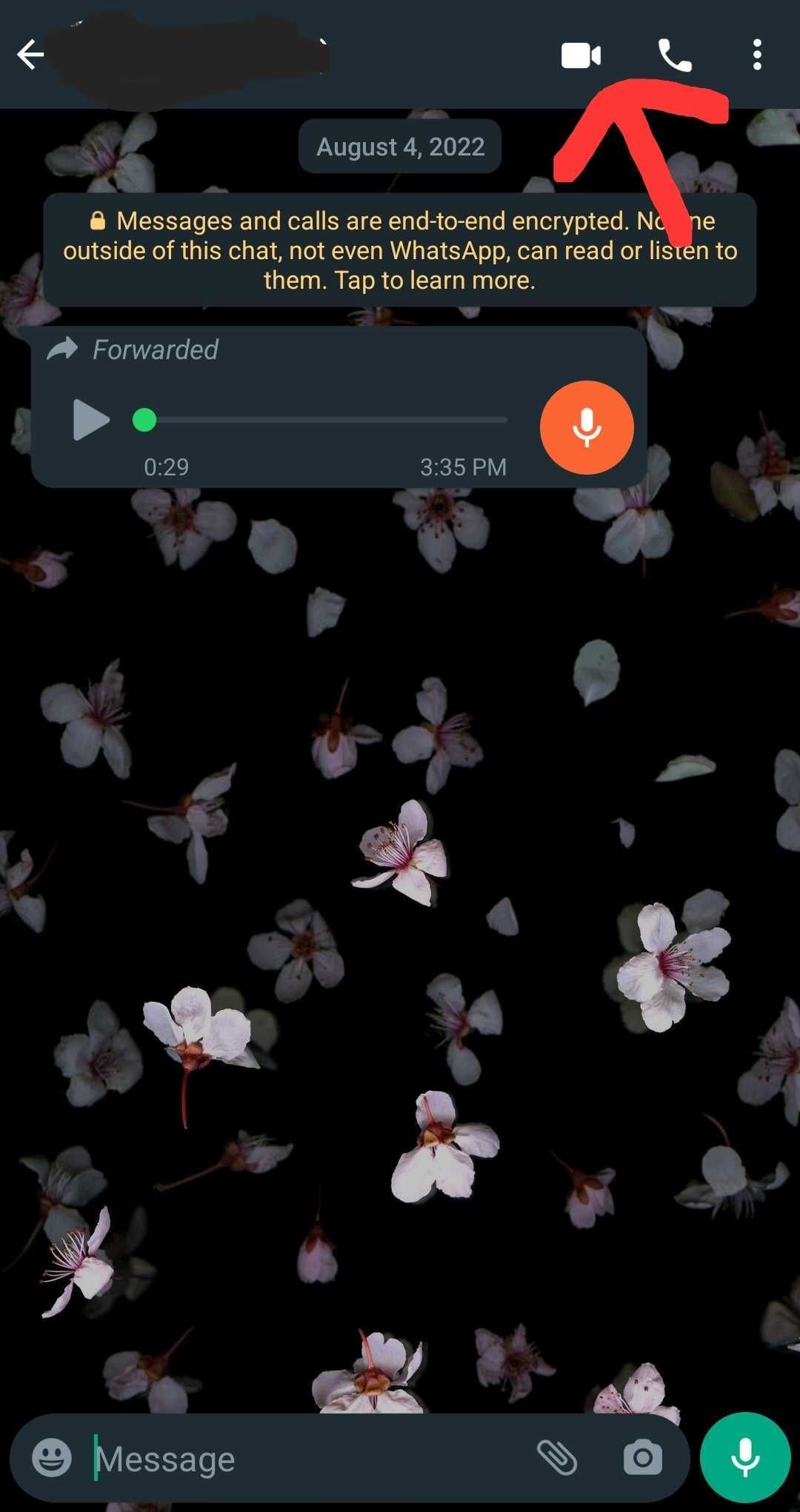 whatsapp video call screenshot