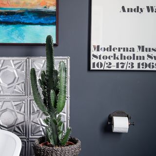dark grey bathroom wall with cactus plant