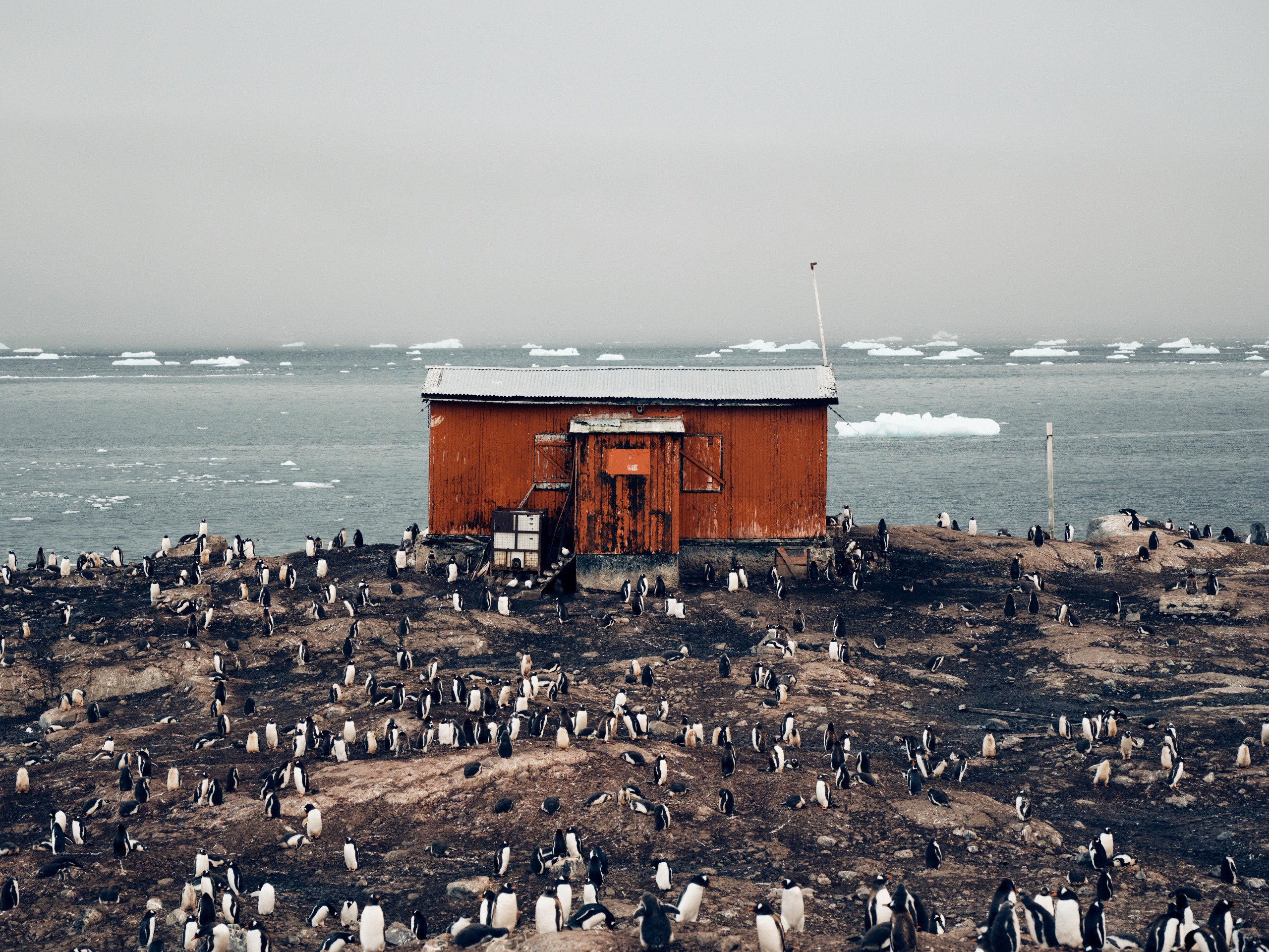 Photograph of a survey station in Antarctica, by nature and documentary photographer Matt Sharp, captured on a Fujifilm GFX 100S II camera and Fujifilm GF100-200mm F5.6 R LM OIS WR lens.