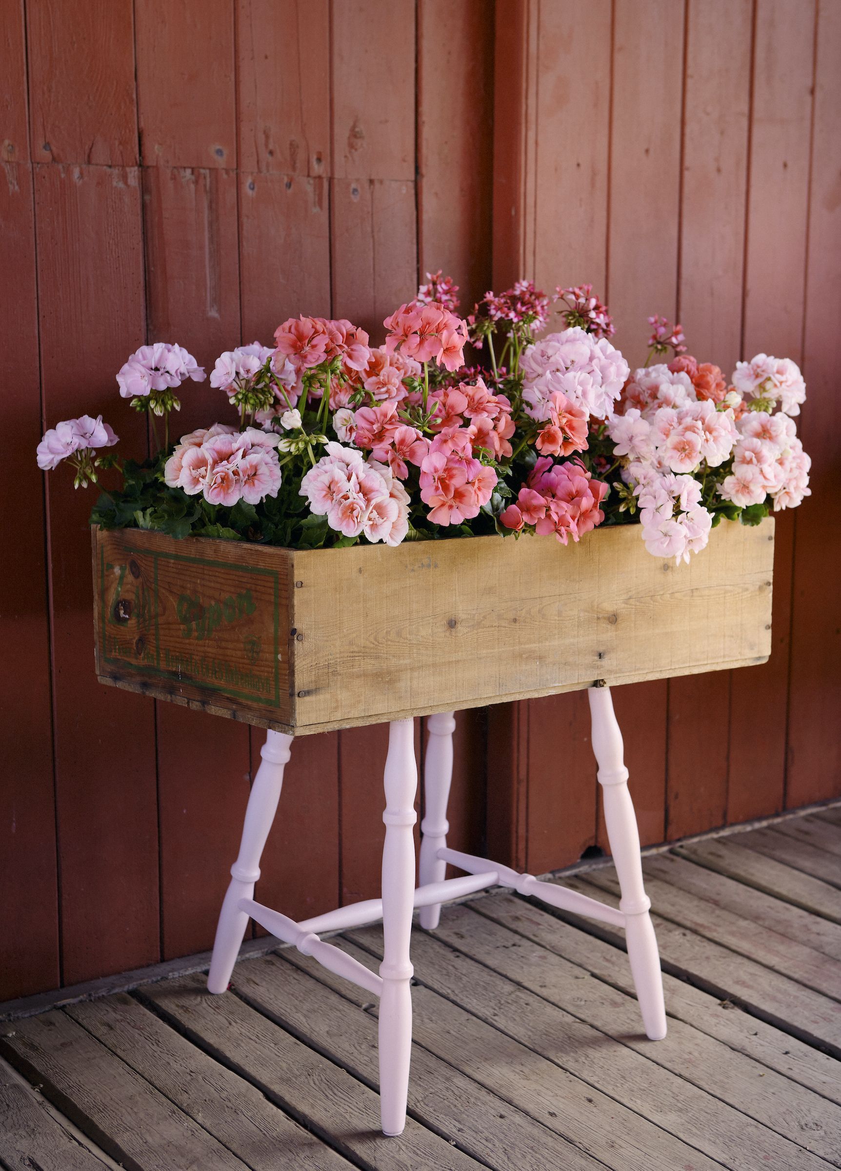 geranium display ideas for country gardens