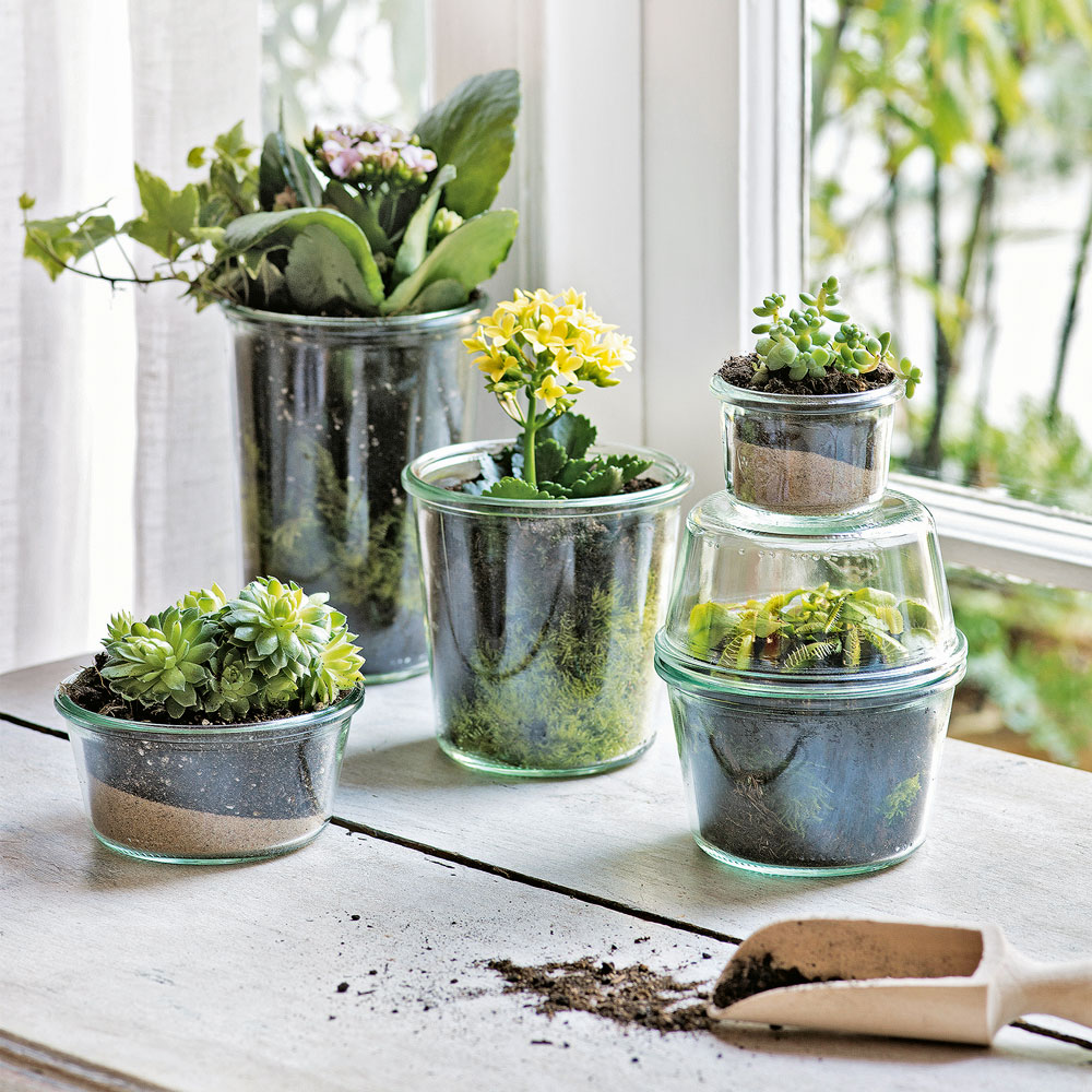 room with white window and plants in pots