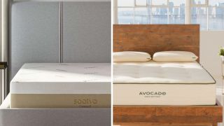 Memory foam vs latex mattresses for back pain split image: Featuring the Saatva Contour5 memory foam mattress on the left and the Avocado Green organic latex mattress on the right 