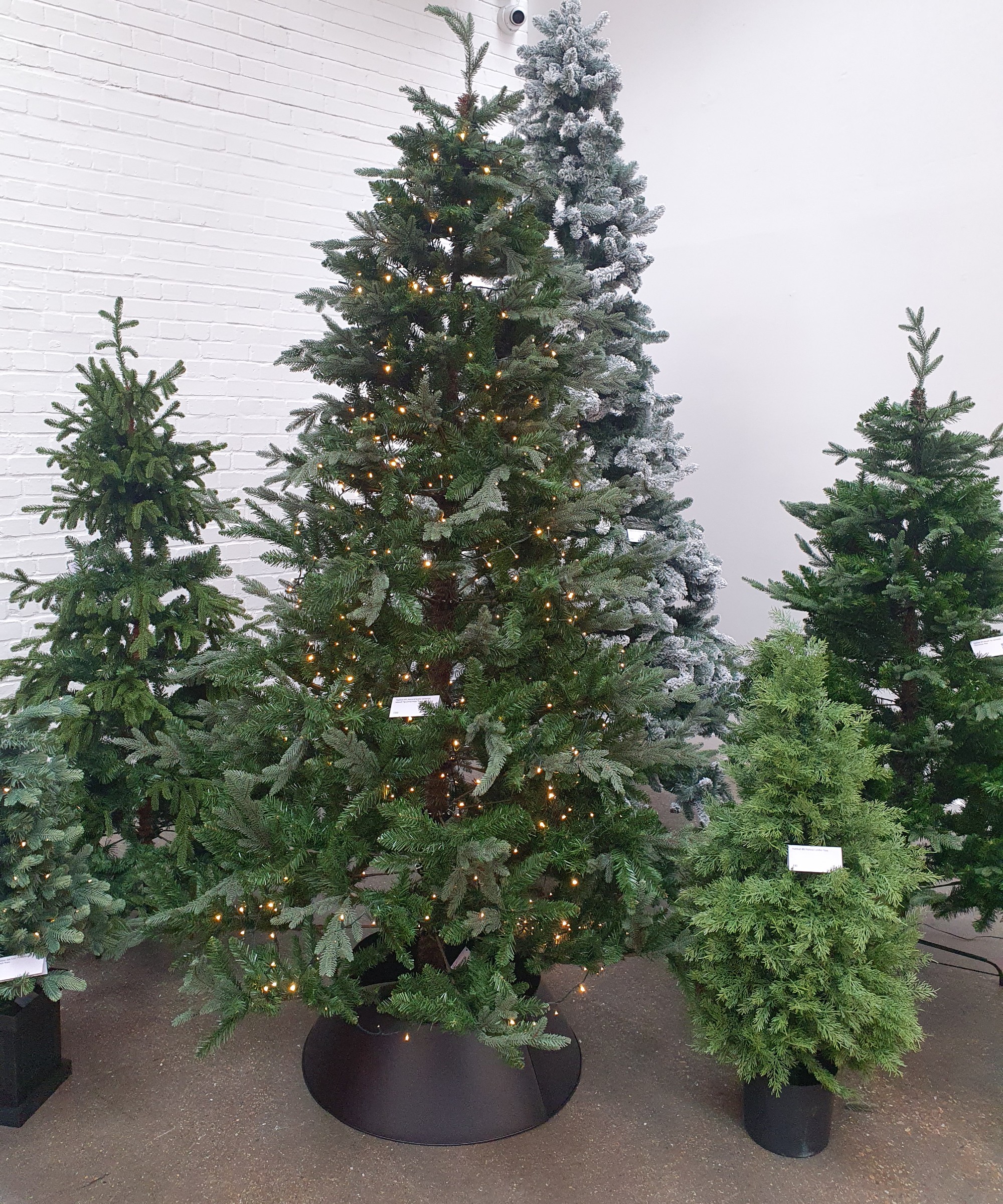 Habitat 8ft Mixed Tip Upswept Christmas Tree (in the middle) surrounded by other artificial trees at the Habitat Christmas press showcase 2025