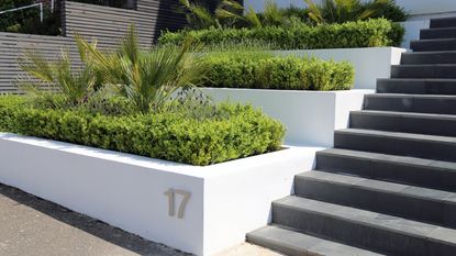 front garden wall ideas: tiered front garden with modern white rendered garden walls