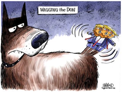 Political Cartoon U.S. Dog Wagging The Don Trump