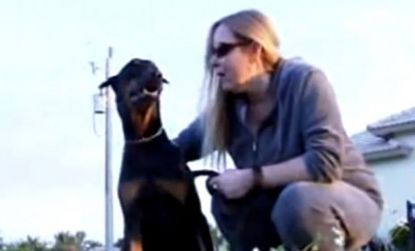 Turbo the Doberman, with his owner, might have drowned in a canal had persistent dolphins not splashed loudly enough to alert neighbors.