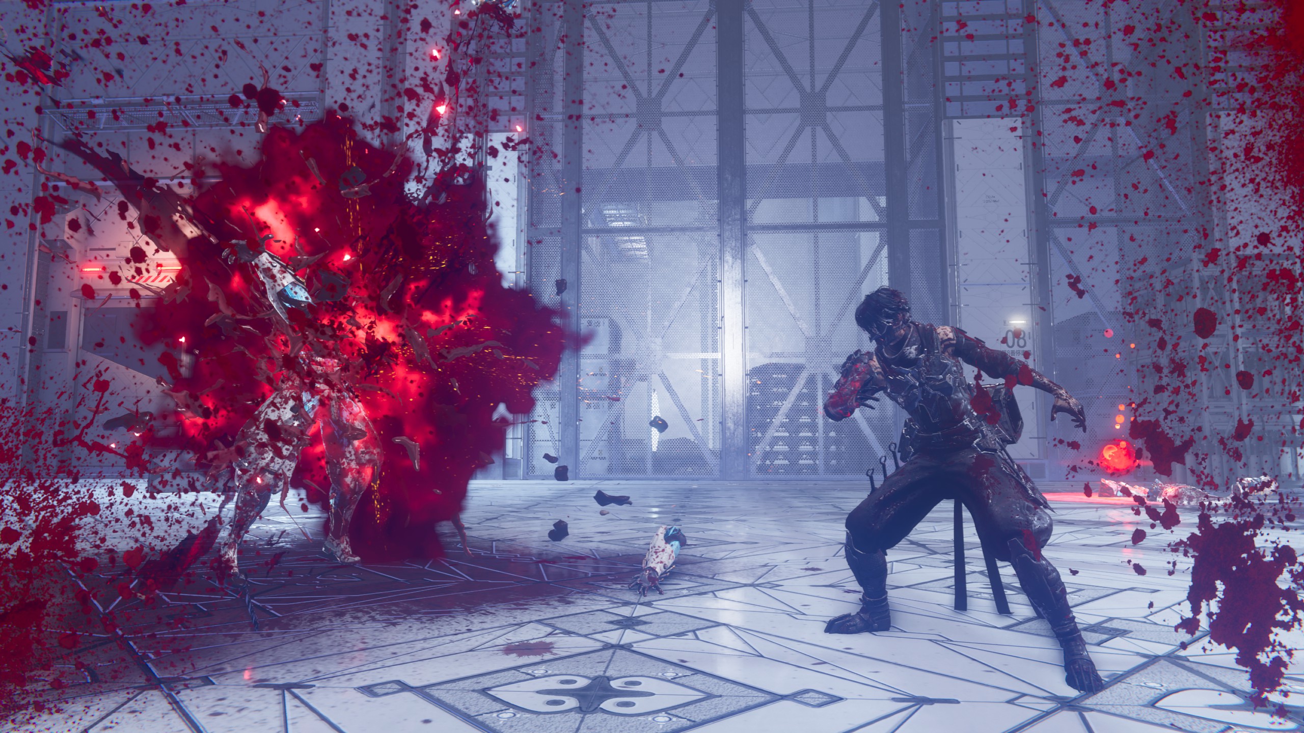 Ninja Gaiden 4