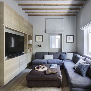 television room with corner sofa