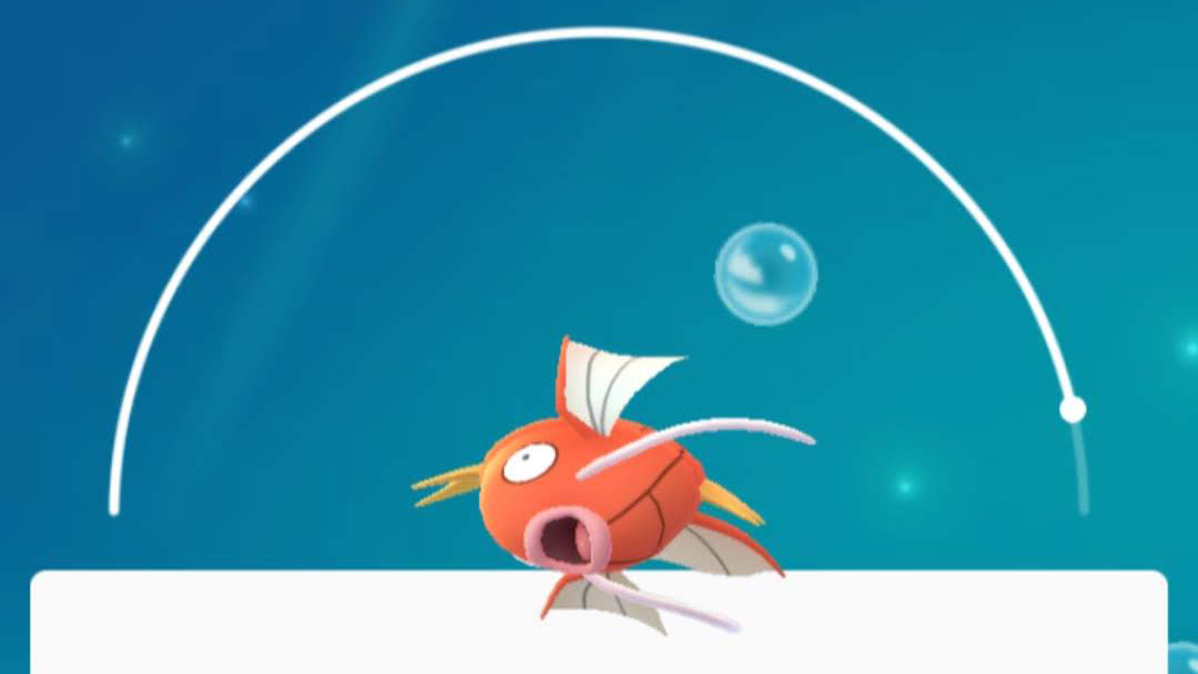 Magikarp in Pokemon Go