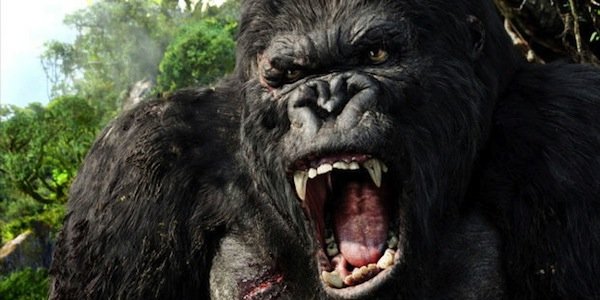 What Kong Skull Island Actually Will Be About Cinemablend