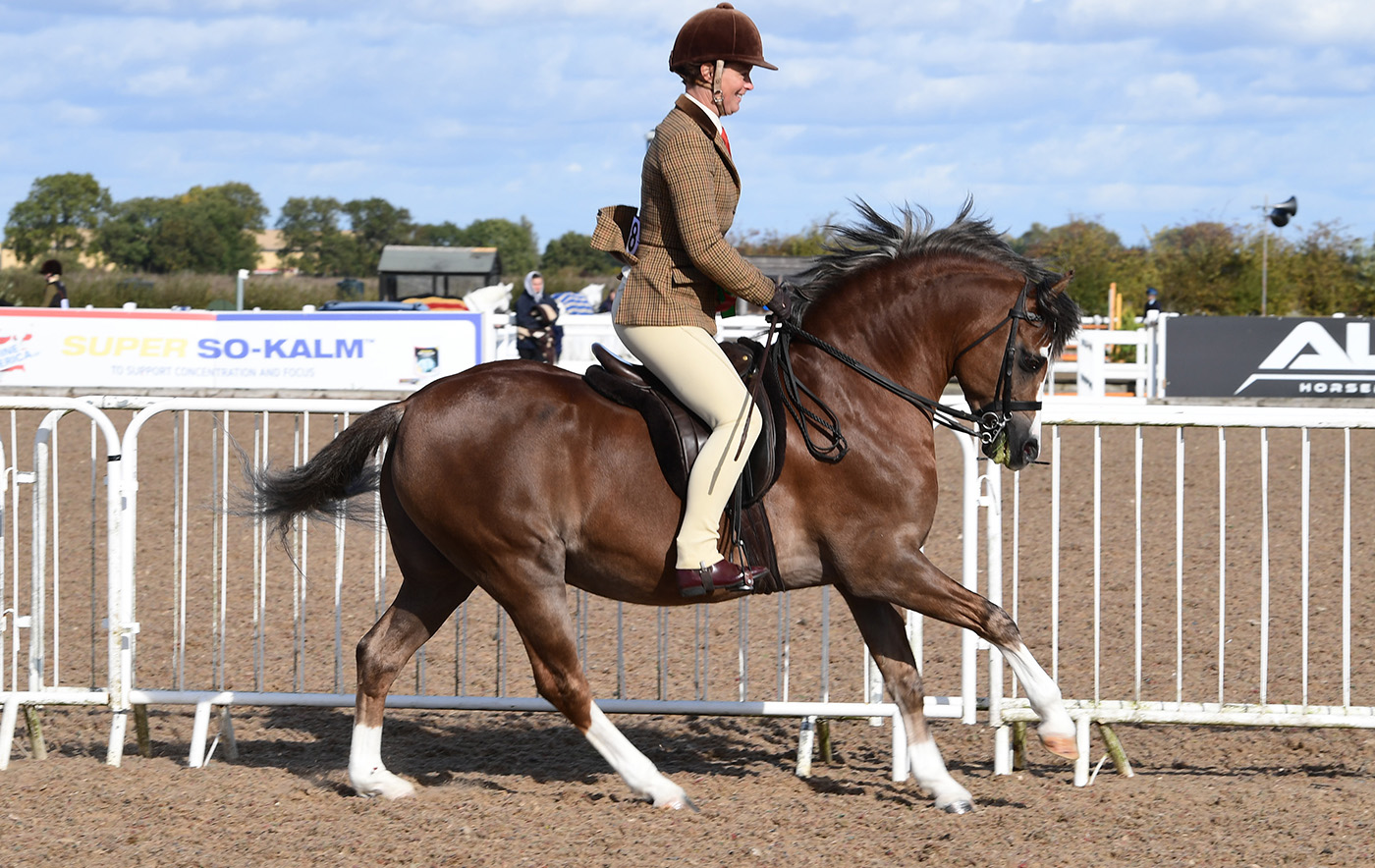 Heritage Show 15.10.22Cl. 78 Welsh A/B No. 298