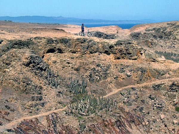 The rugged Pichi coastline