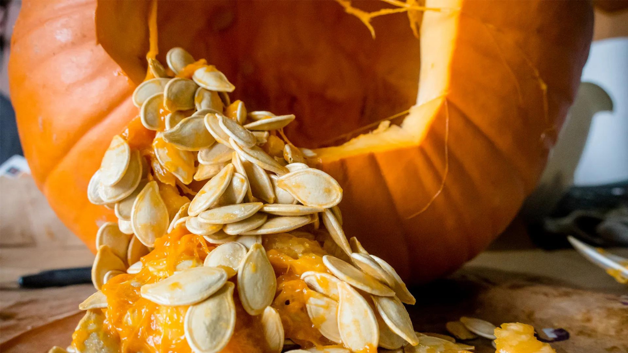 pumpkin seeds