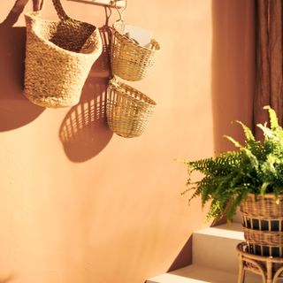 beige room with rattan plant pots and plant hangers on the wall