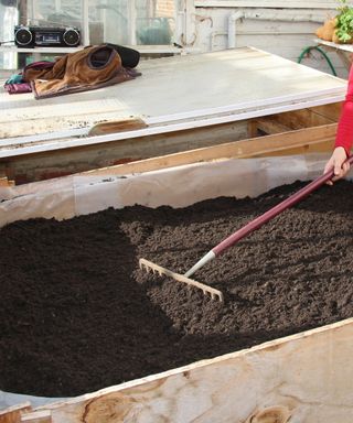 A greenhouse hotbed filled with manure and compost being levelled with a rake