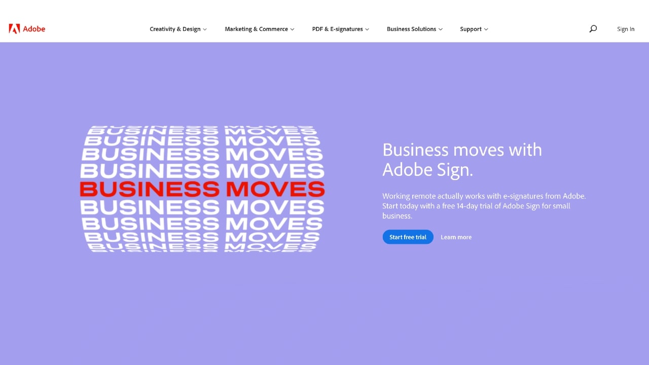 Adobe password