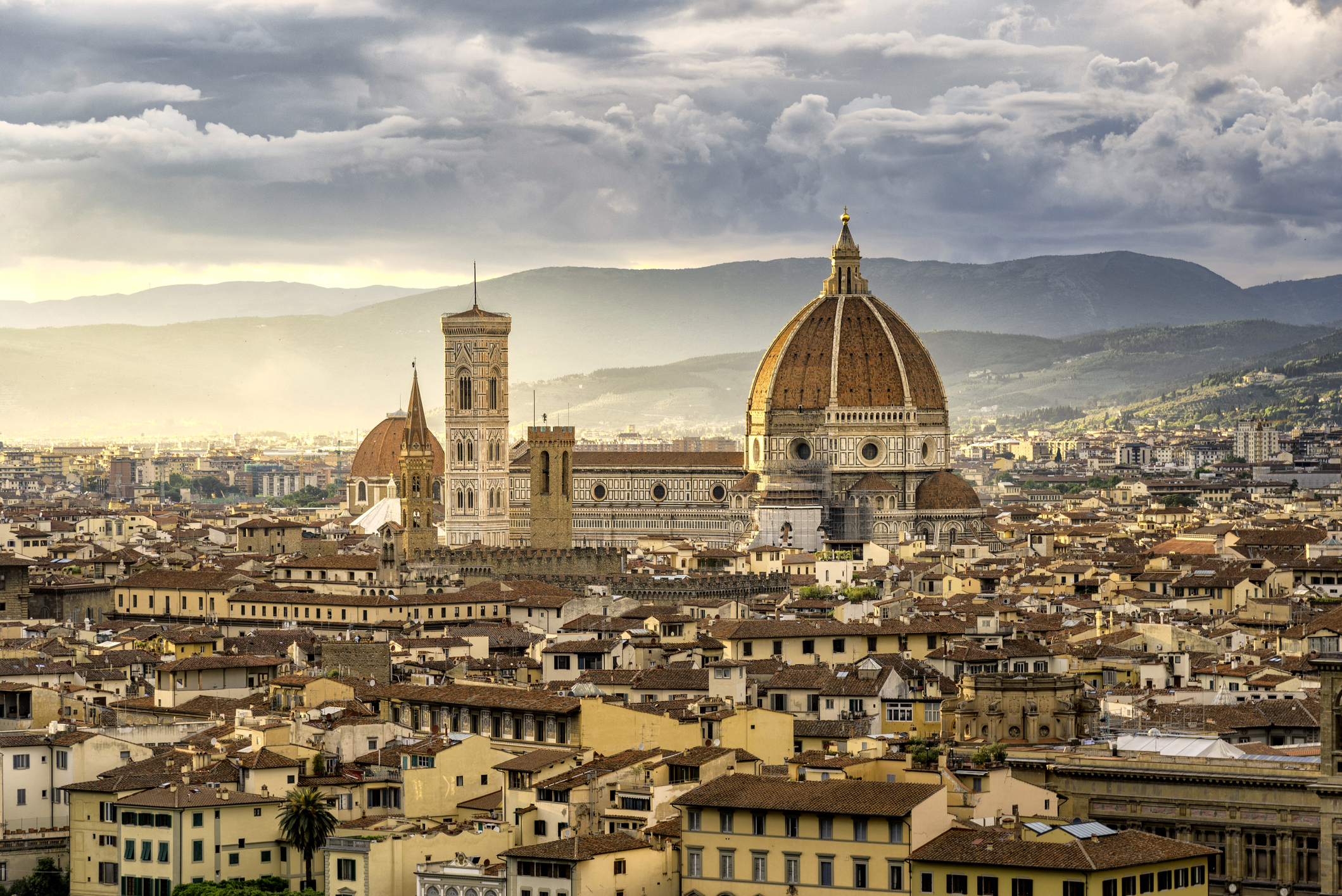 Beautiful Florentine sunset... marred only by that high-pitched whine as you&#039;re dive-bombed by dozens of winged nasties.