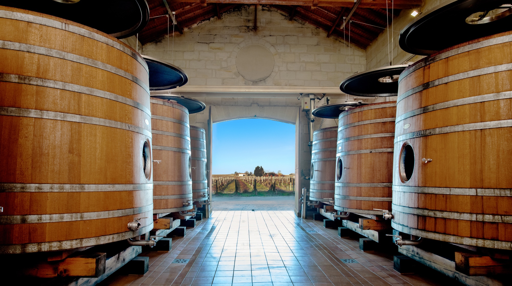 view to the vines from barrel room at Ch&amp;acirc;teau La Tour Figeac
