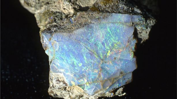 Opal Western Australian