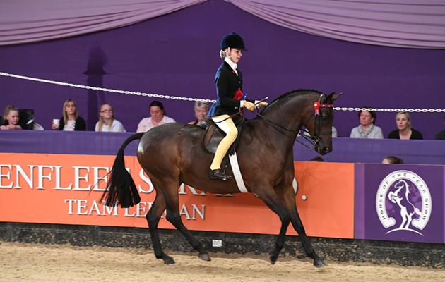 HOYS 06 10 2018