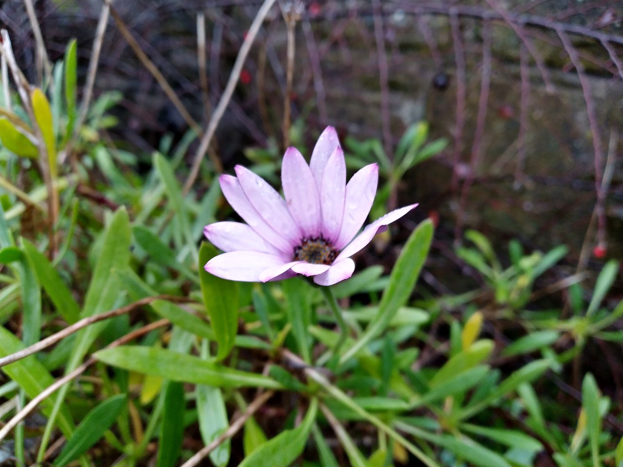 Nokia 3.4 camera sample