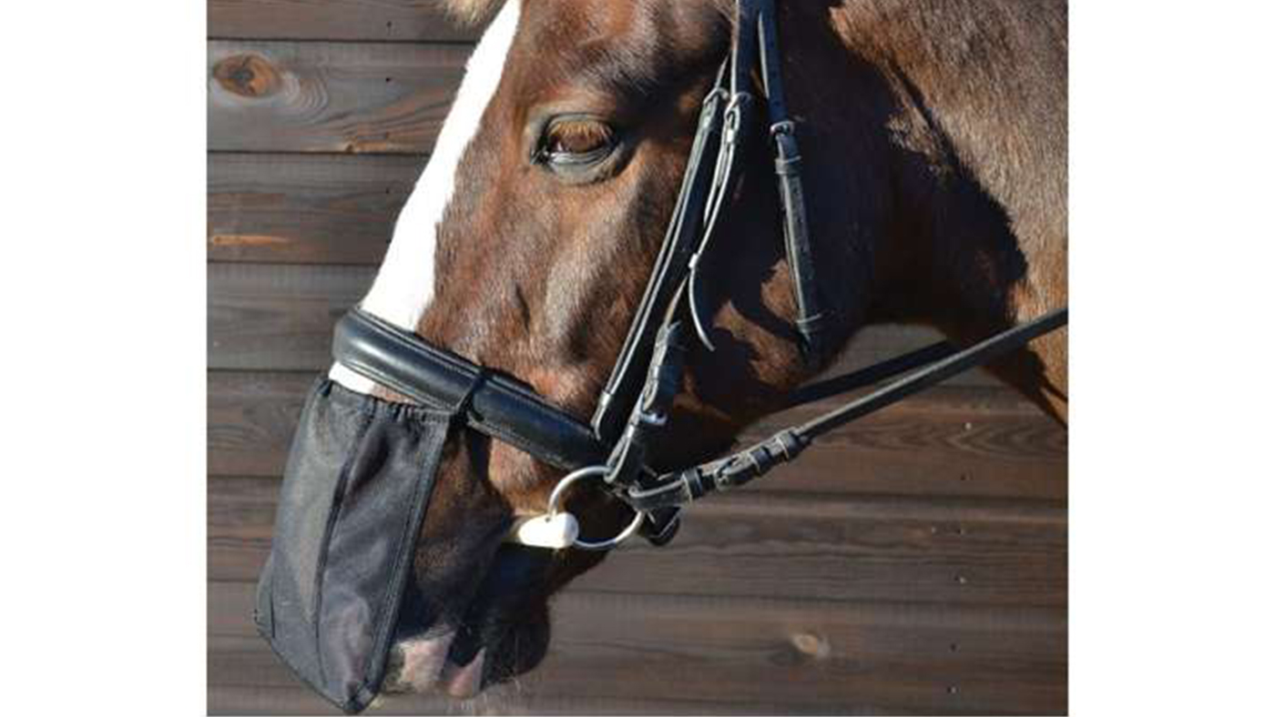 Hy nose net for horses