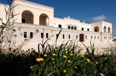 Tormaresca Bocca di Lupo.jpg