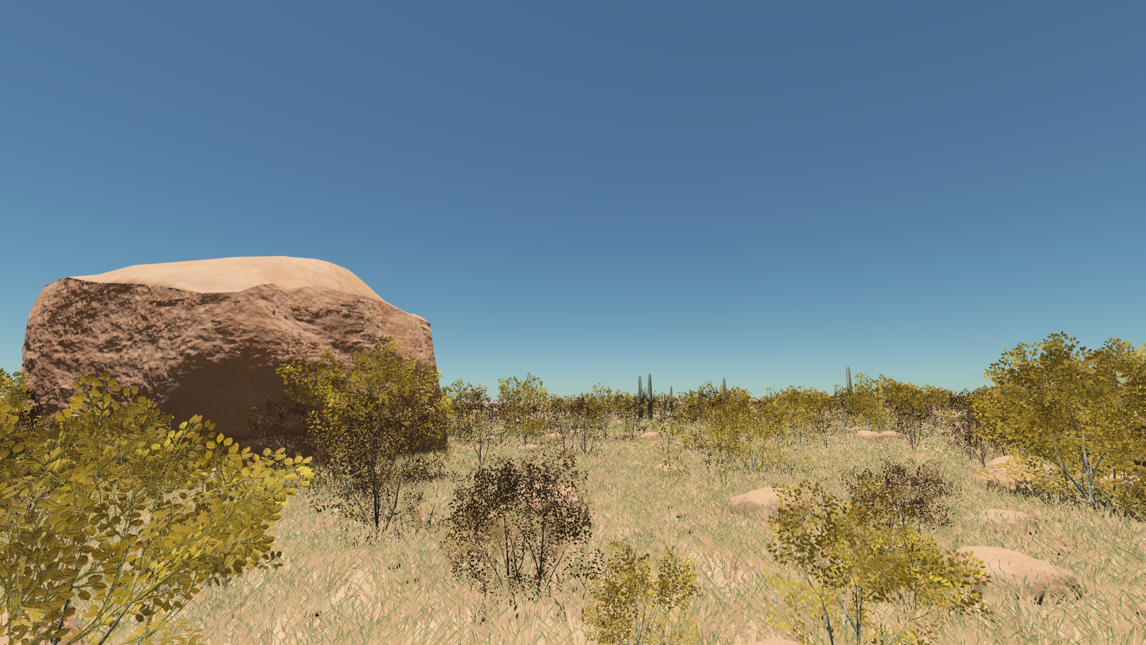 The plains with a boulder and shrubs