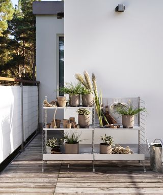 Small backyard with galvanized shelving full of plants and outdoor accessories