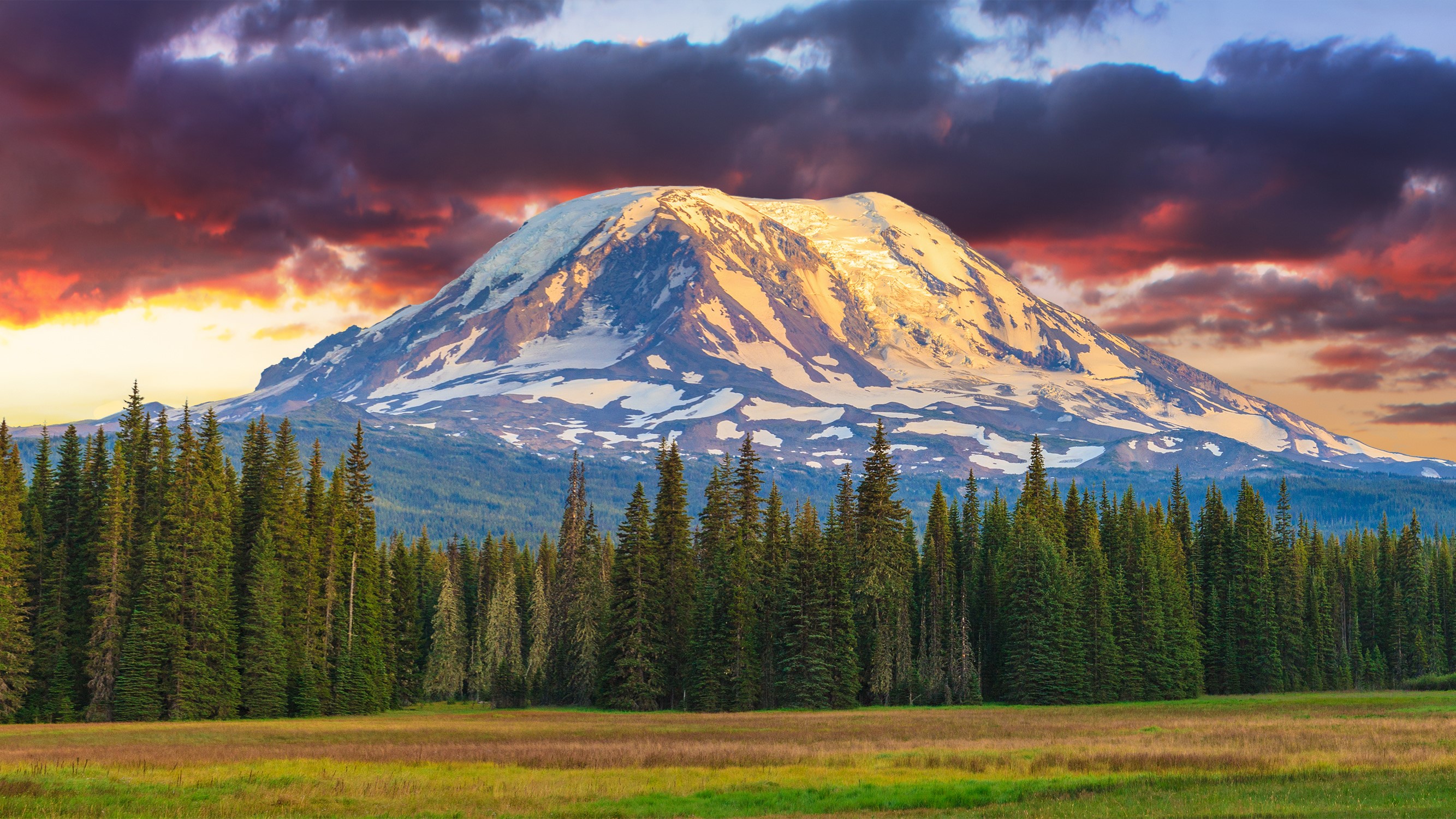 'Every volcano has its own personality': Mystery Mount Adams earthquake ...