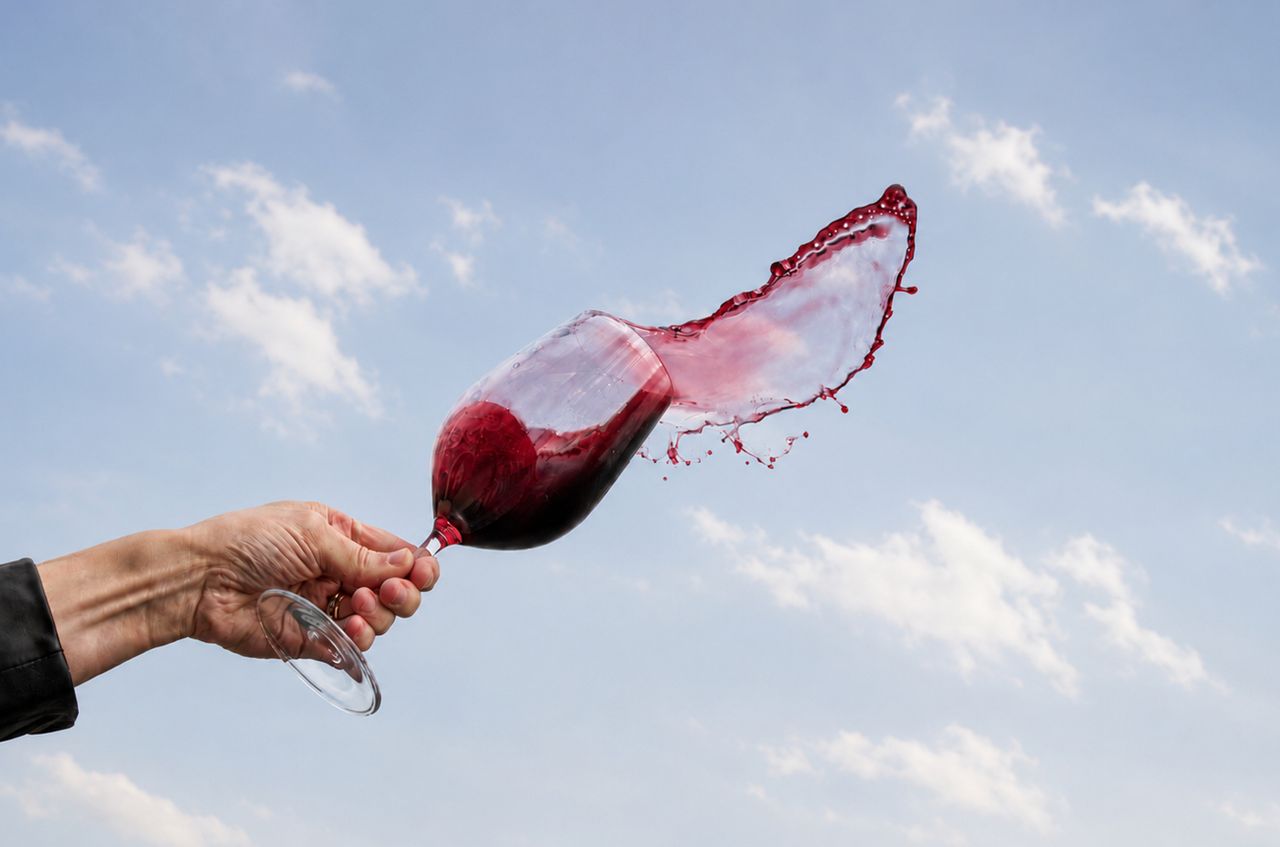 The red wines that made it to the Top 50 at DWWA 2026