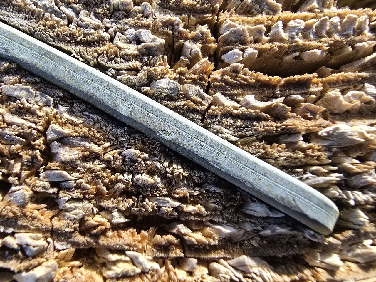 Samsung Galaxy S24 Ultra macro sample.