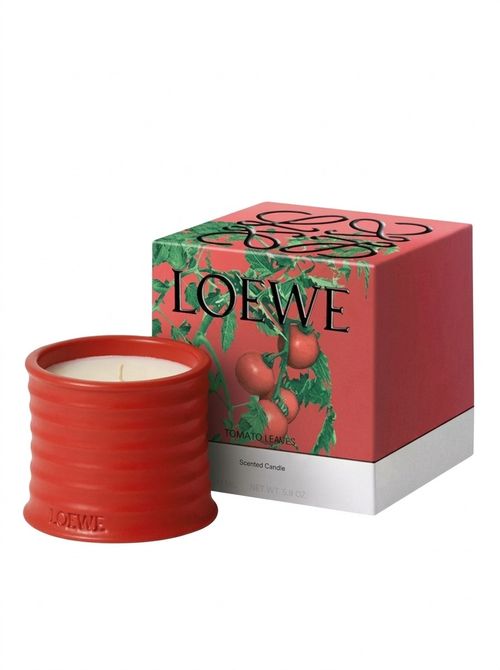 Tomato Leaves Small Scented Candle 170g