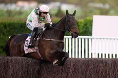 Cheltenham Gold Cup winner Gaelic Warrior ridden by Paul Townend.