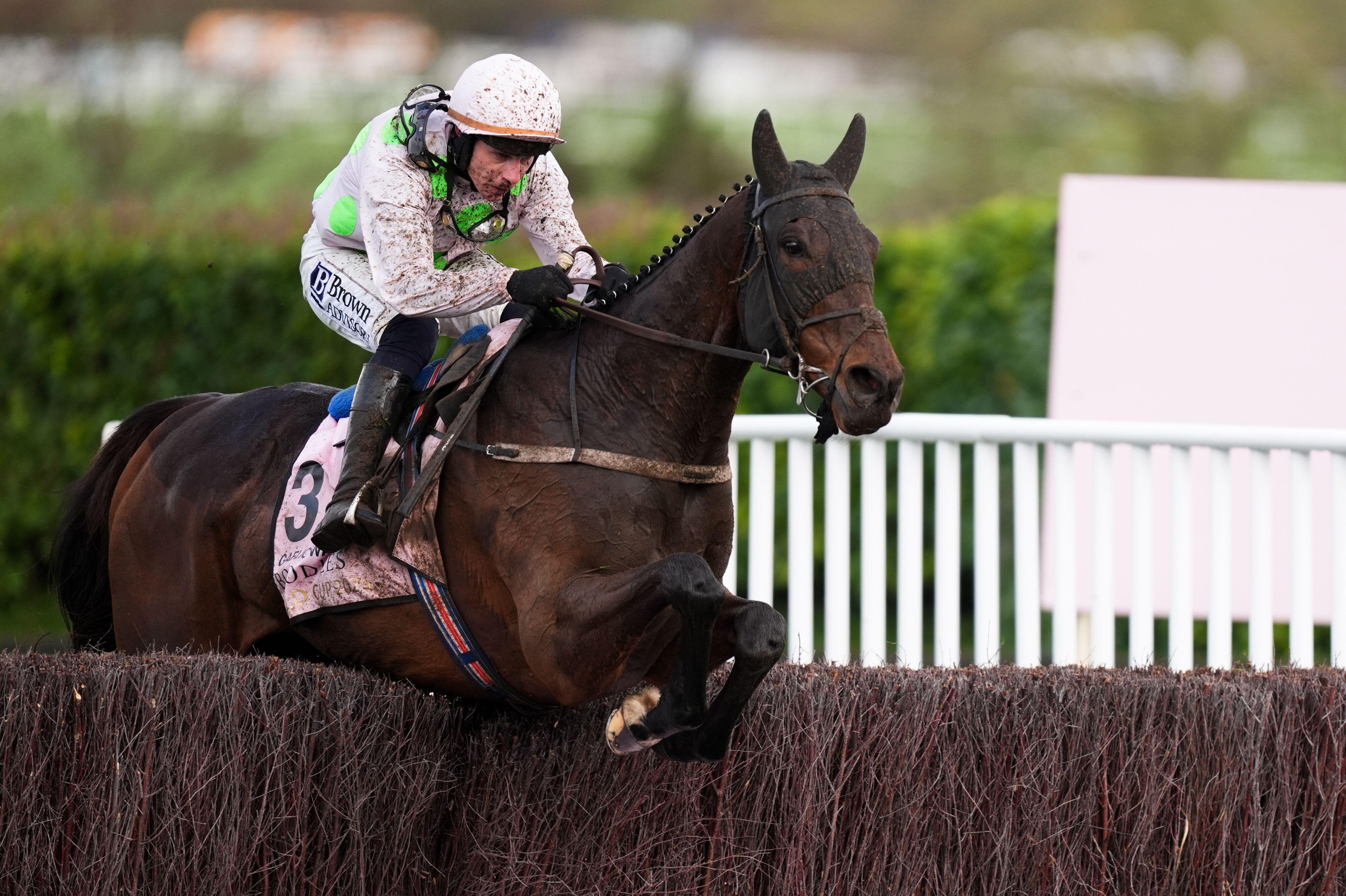 Cheltenham Gold Cup winner Gaelic Warrior ridden by Paul Townend.