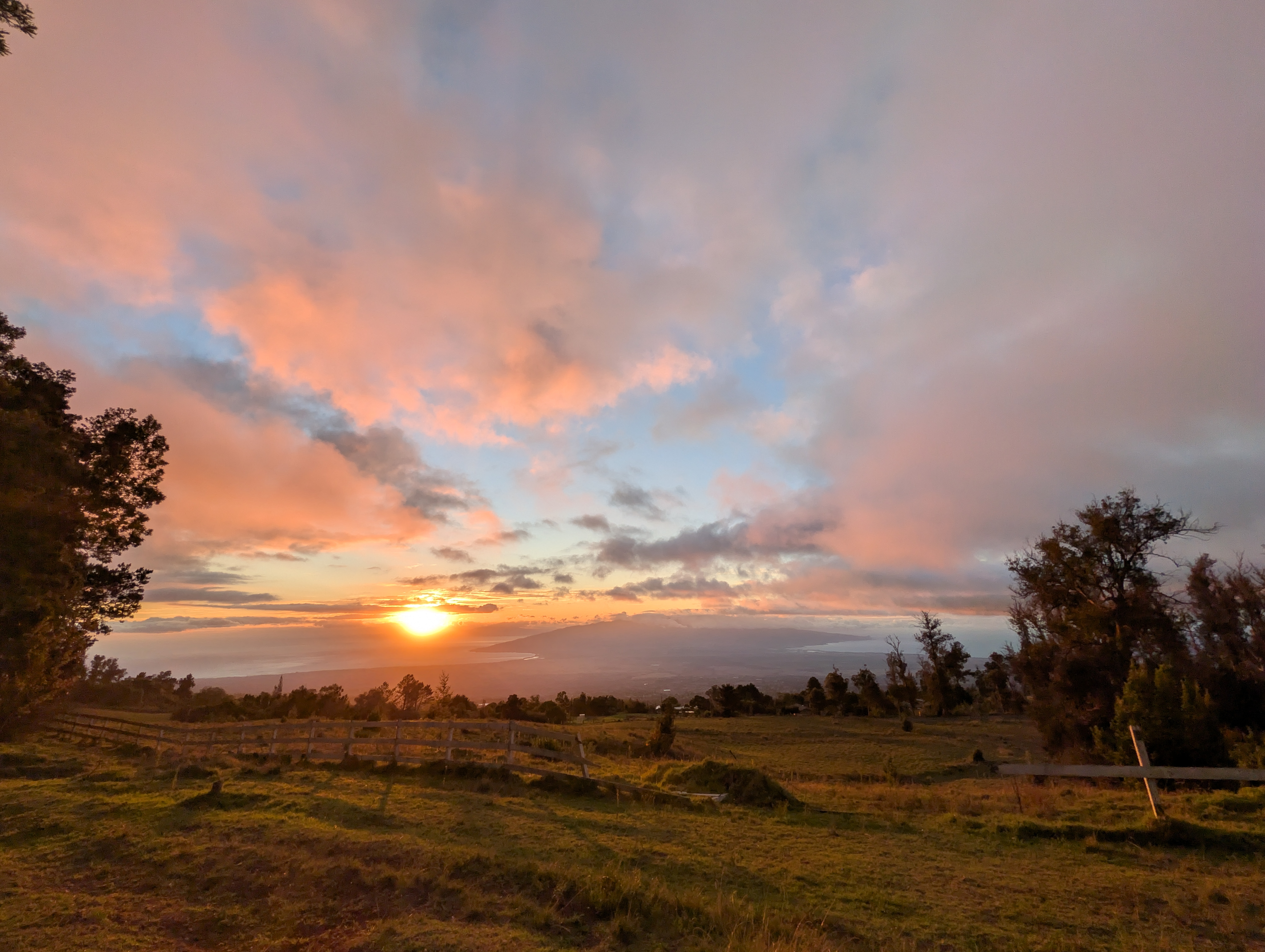 Camera image samples taken with the Google Pixel 10 Pro XL