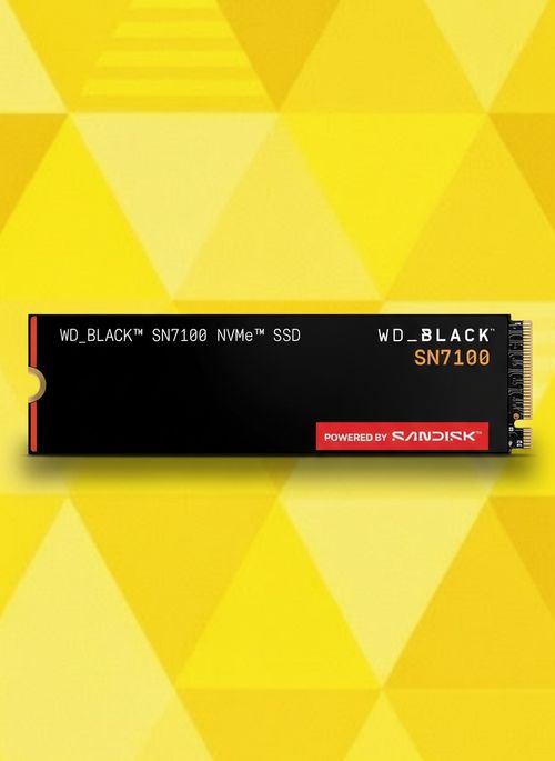 2 TB WD_Black SN7100