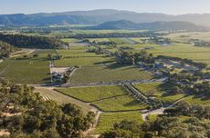 Cliff Lede Vineyards