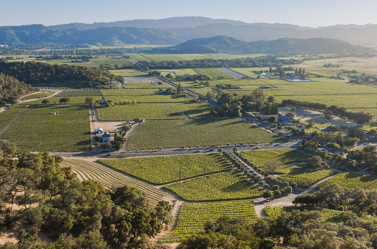 Cliff Lede Vineyards