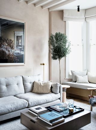 snug room with plastered wall and pale sofa and olive tree