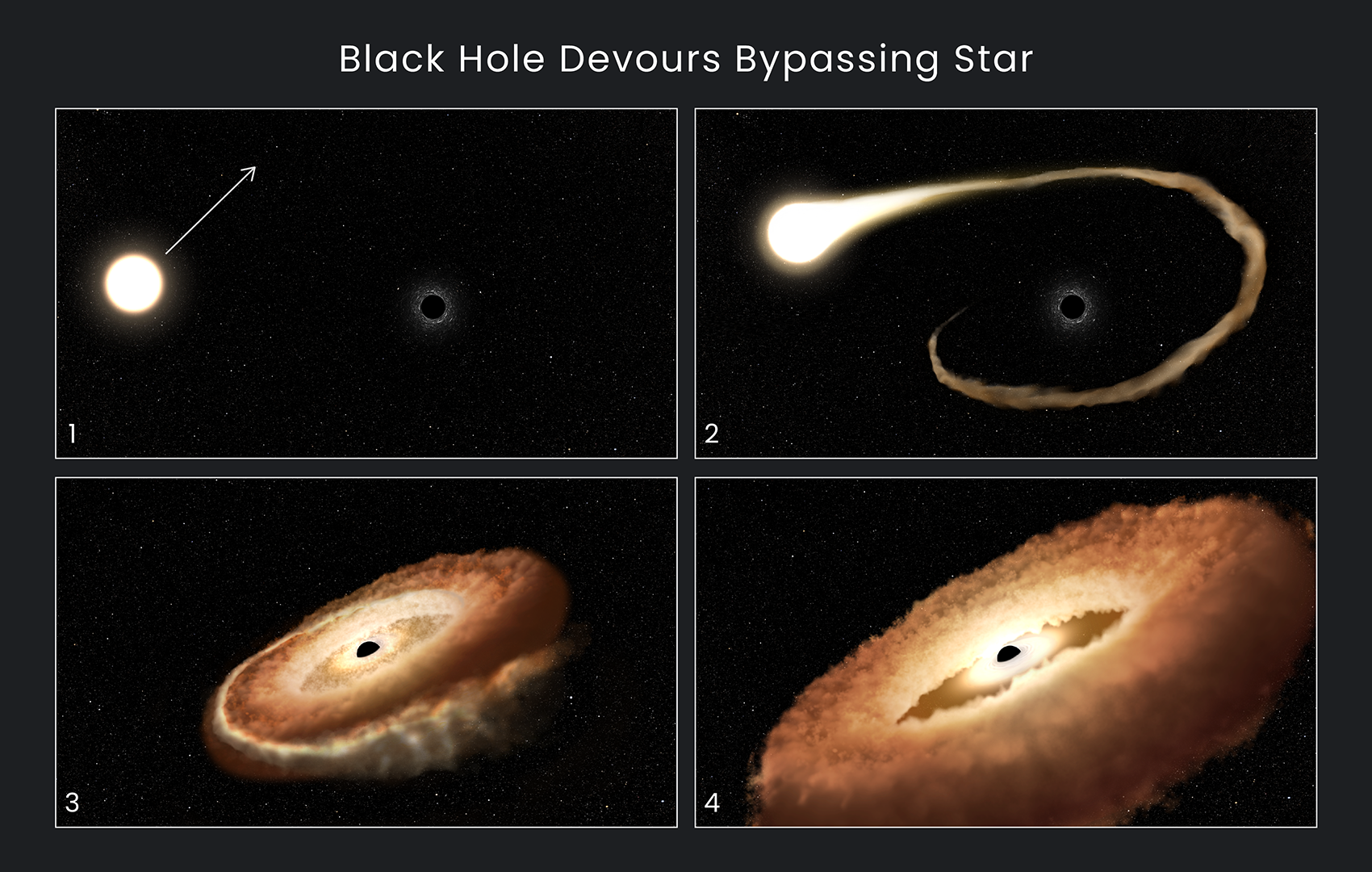 कलाकार के दृष्टांतों के इस क्रम से पता चलता है कि कैसे एक ब्लैक होल एक बाईपासिंग स्टार को खा सकता है।  1. एक सामान्य तारा एक आकाशगंगा के केंद्र में एक सुपरमैसिव ब्लैक होल के पास से गुजरता है।  2. तारे की बाहरी गैसें ब्लैक होल के गुरुत्वाकर्षण क्षेत्र में खींची जाती हैं।  3. तारा टूट जाता है क्योंकि ज्वारीय बल इसे अलग कर देते हैं।  4. तारकीय अवशेष ब्लैक होल के चारों ओर एक डोनट के आकार की अंगूठी में खींचे जाते हैं, और अंततः ब्लैक होल में गिर जाते हैं, जिससे भारी मात्रा में प्रकाश और उच्च-ऊर्जा विकिरण निकलता है।
