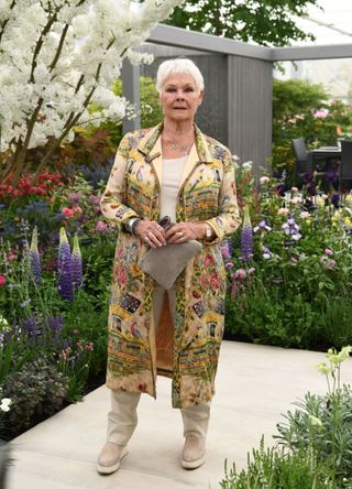 Dame Judi Dench