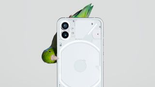 Product shot of parrot perching on Nothing phone