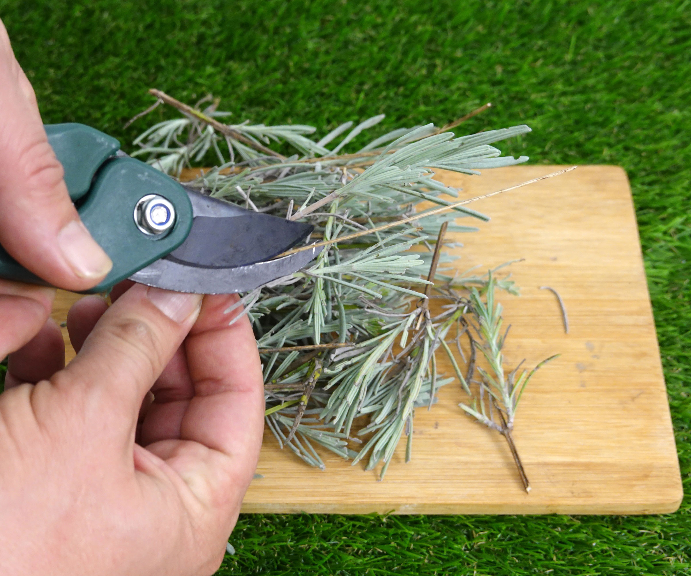 pruning shears cutting lavender stems into smaller cuttings on chopping board