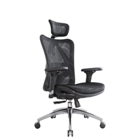 Sihoo M57 Ergonomic Office Chair