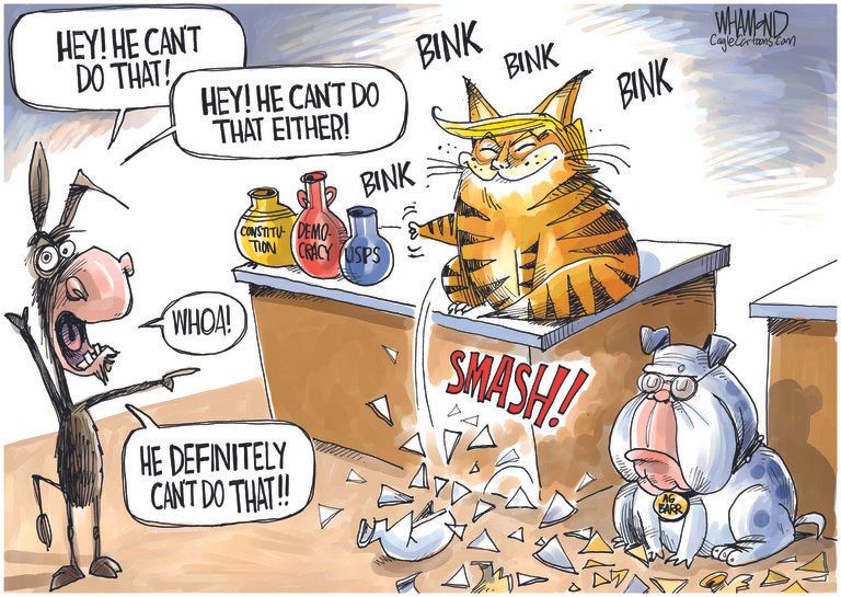 Political Cartoon U.S. Trump Barr Democrats&amp;amp;nbsp;