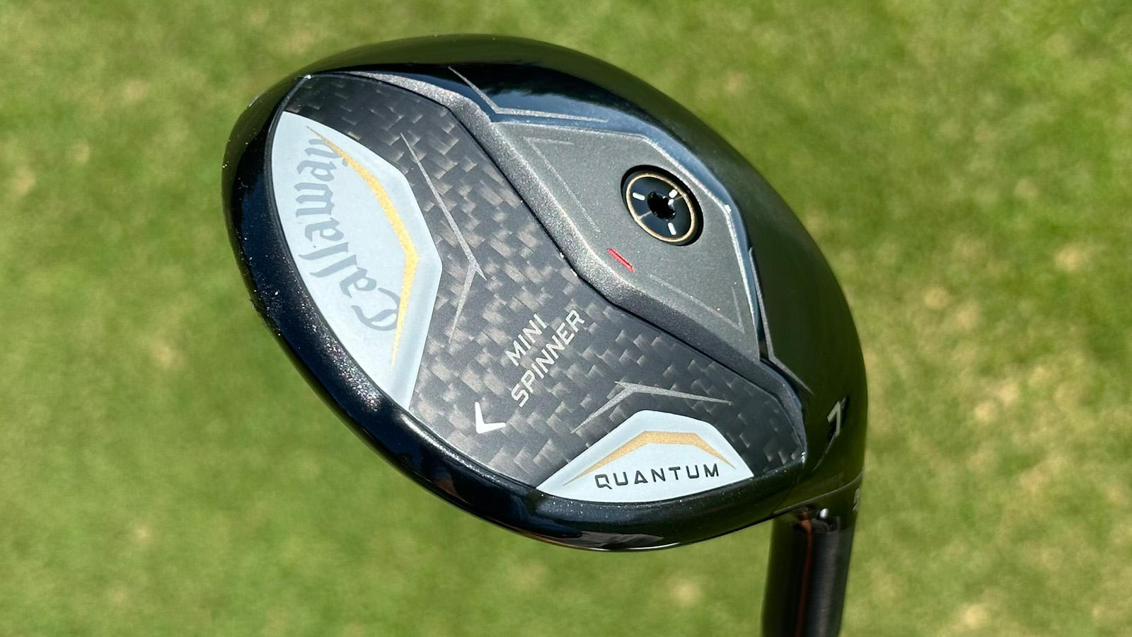 Callaway Quantum Mini Spinner