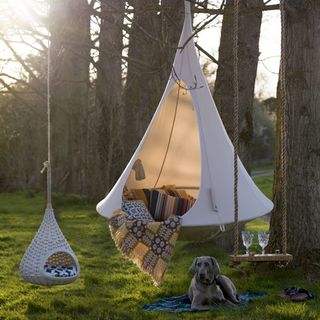 netrest with tree swing and hanging chair and dog